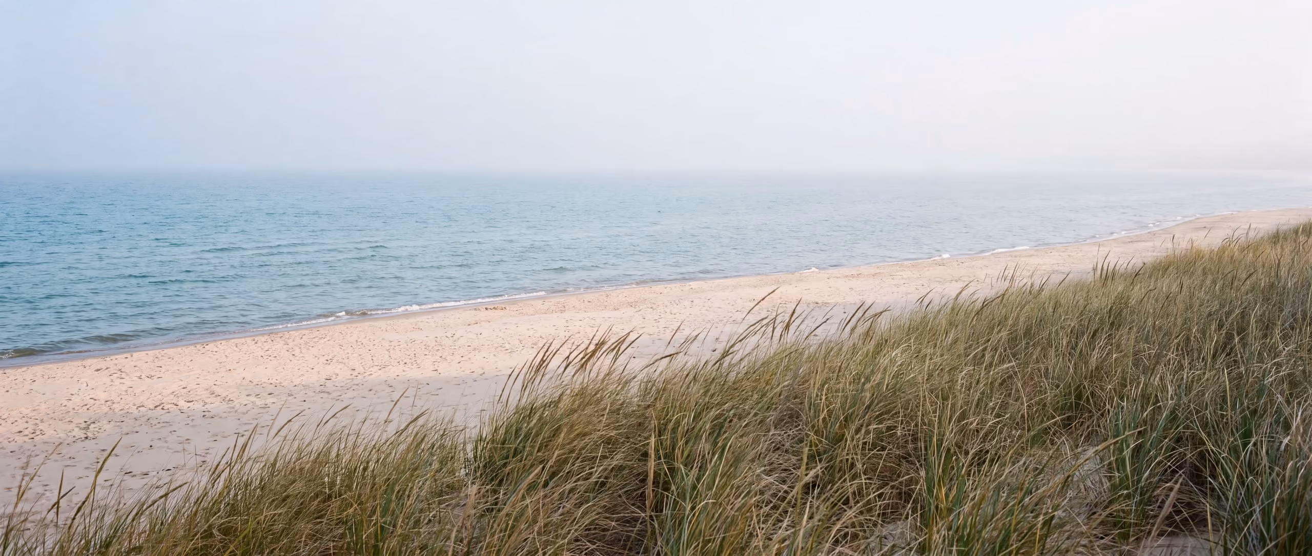 Dune grass along the Lake Michigan shoreline in morning light