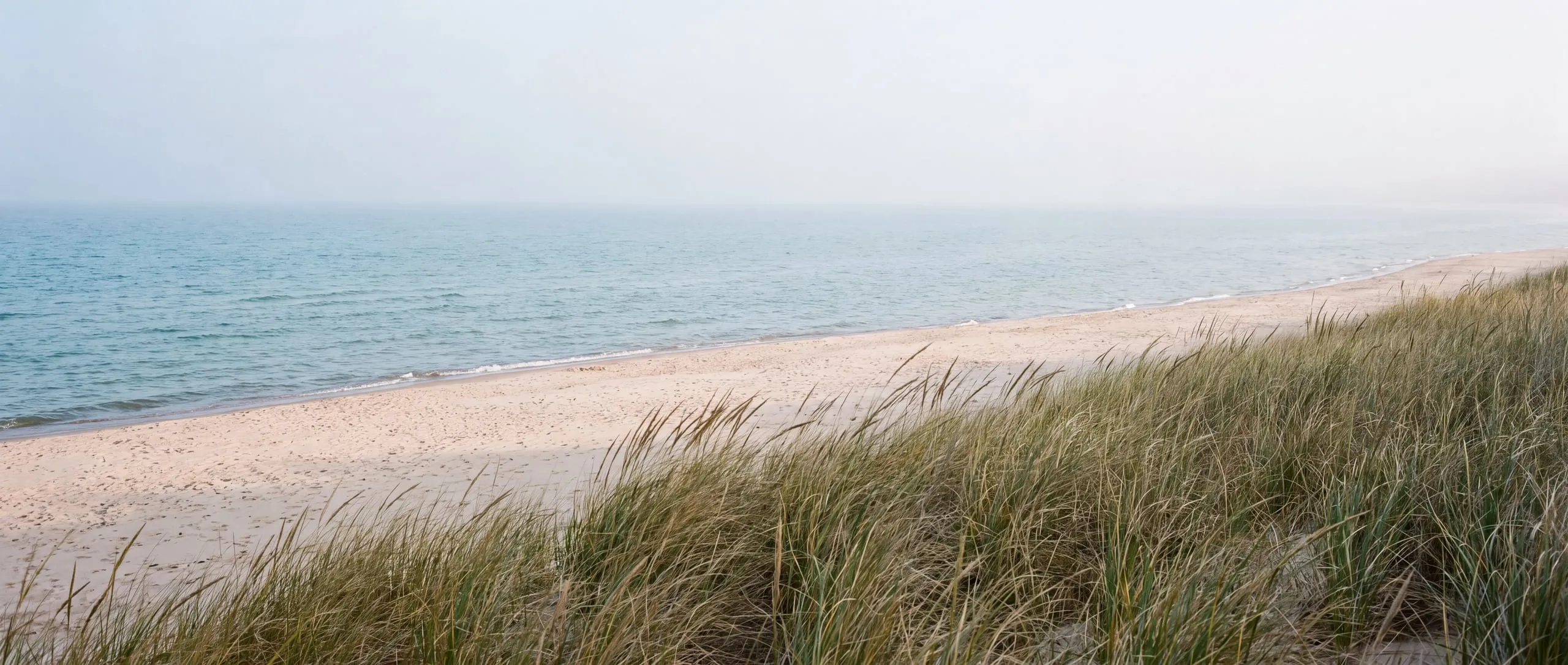 Sandy beach and dune grass along a Great Lakes shoreline